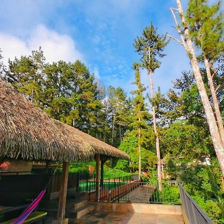 سيرو أزول La Semilla Ecolodge المظهر الخارجي الصورة
