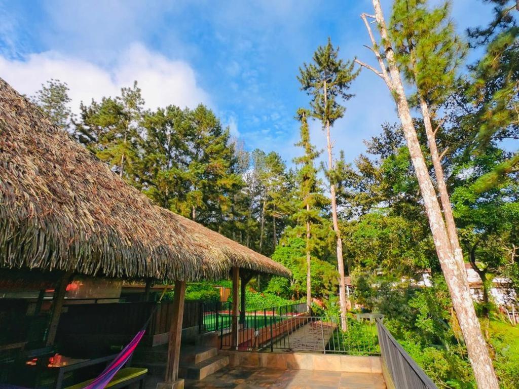 سيرو أزول La Semilla Ecolodge المظهر الخارجي الصورة