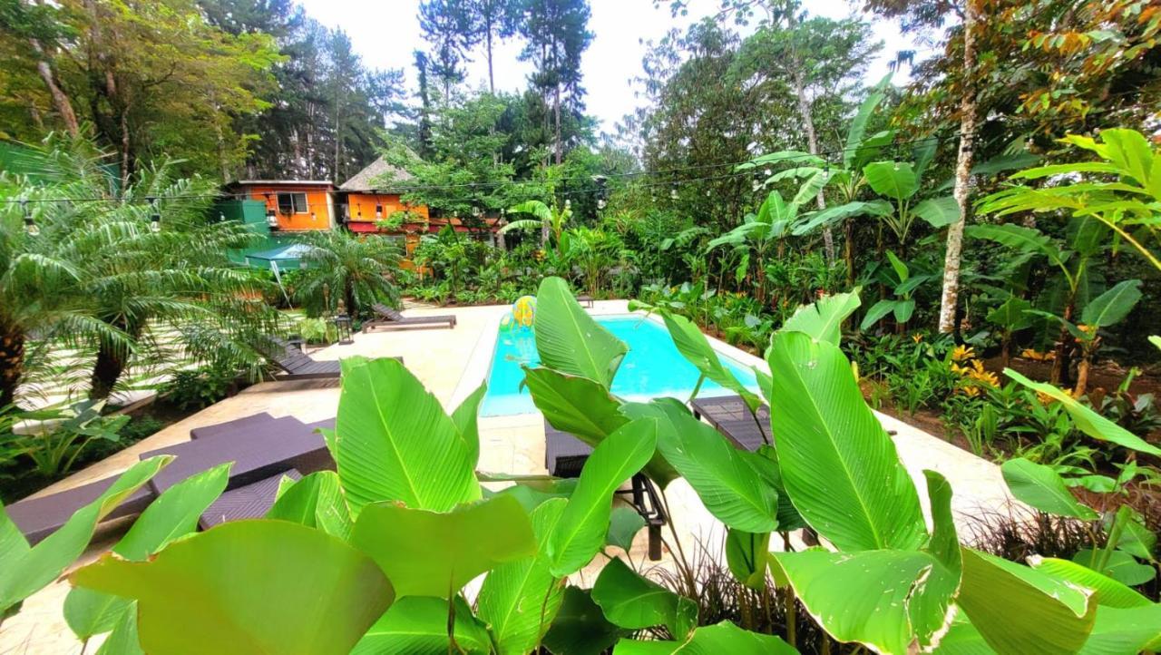 سيرو أزول La Semilla Ecolodge المظهر الخارجي الصورة