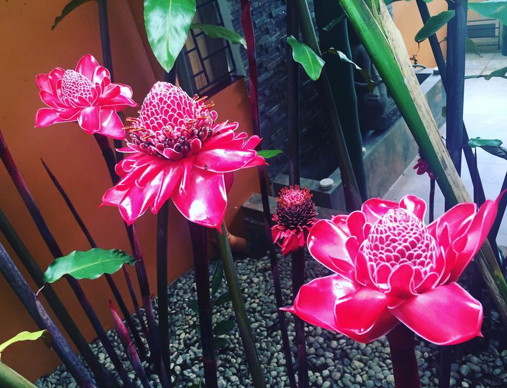 سيرو أزول La Semilla Ecolodge المظهر الخارجي الصورة